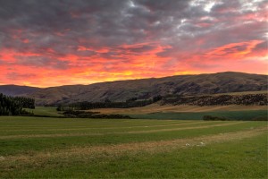 New Zealand Sunrise